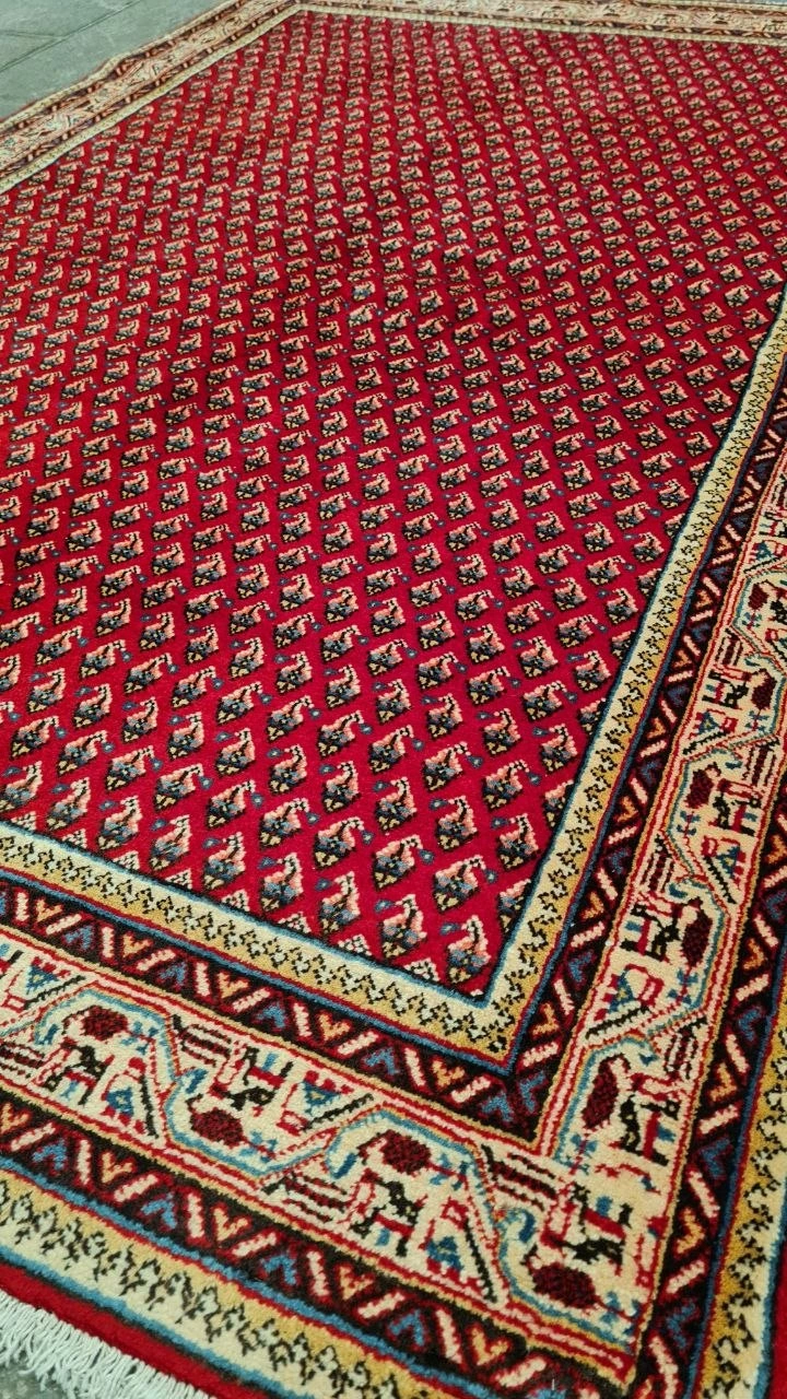 carpet-farshboom-3238637527