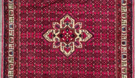 carpet-farshboom-5191585064