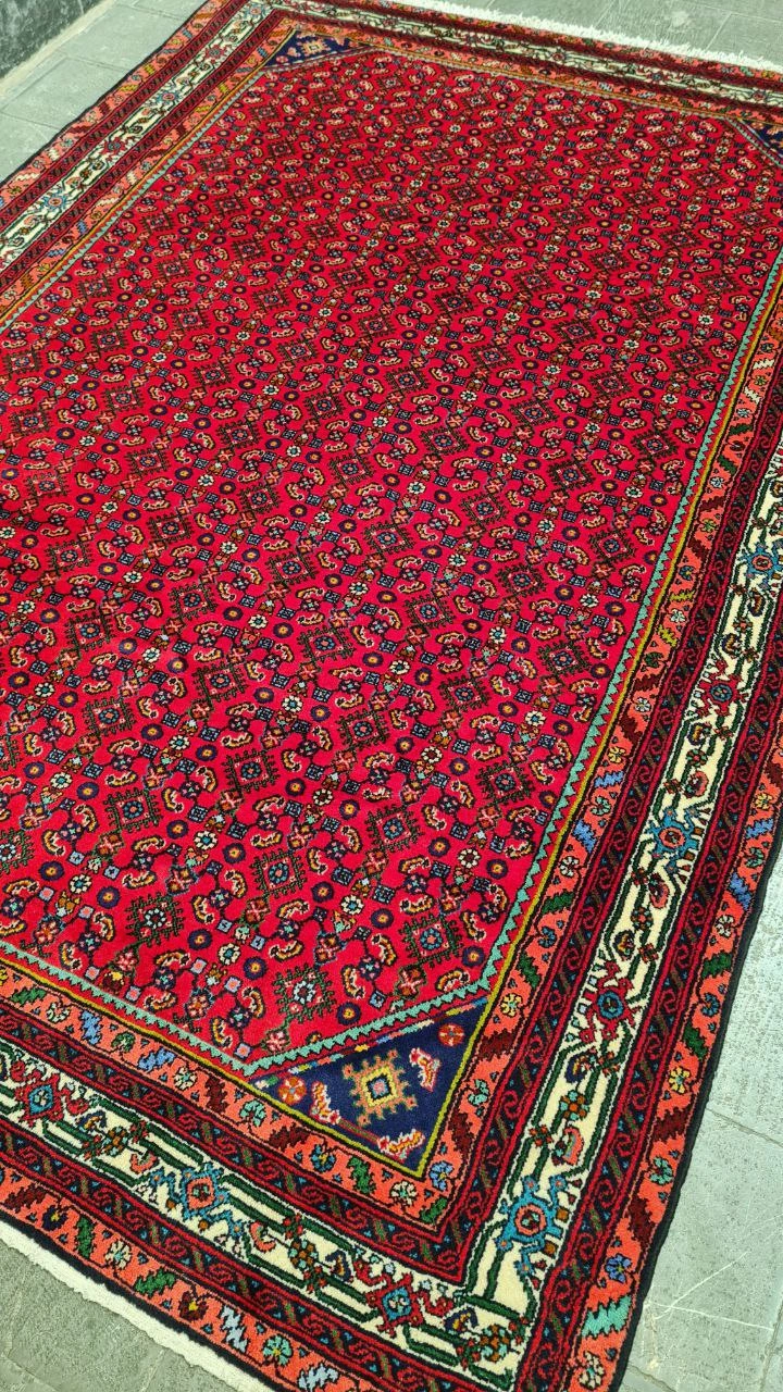 carpet-farshboom-7251676539