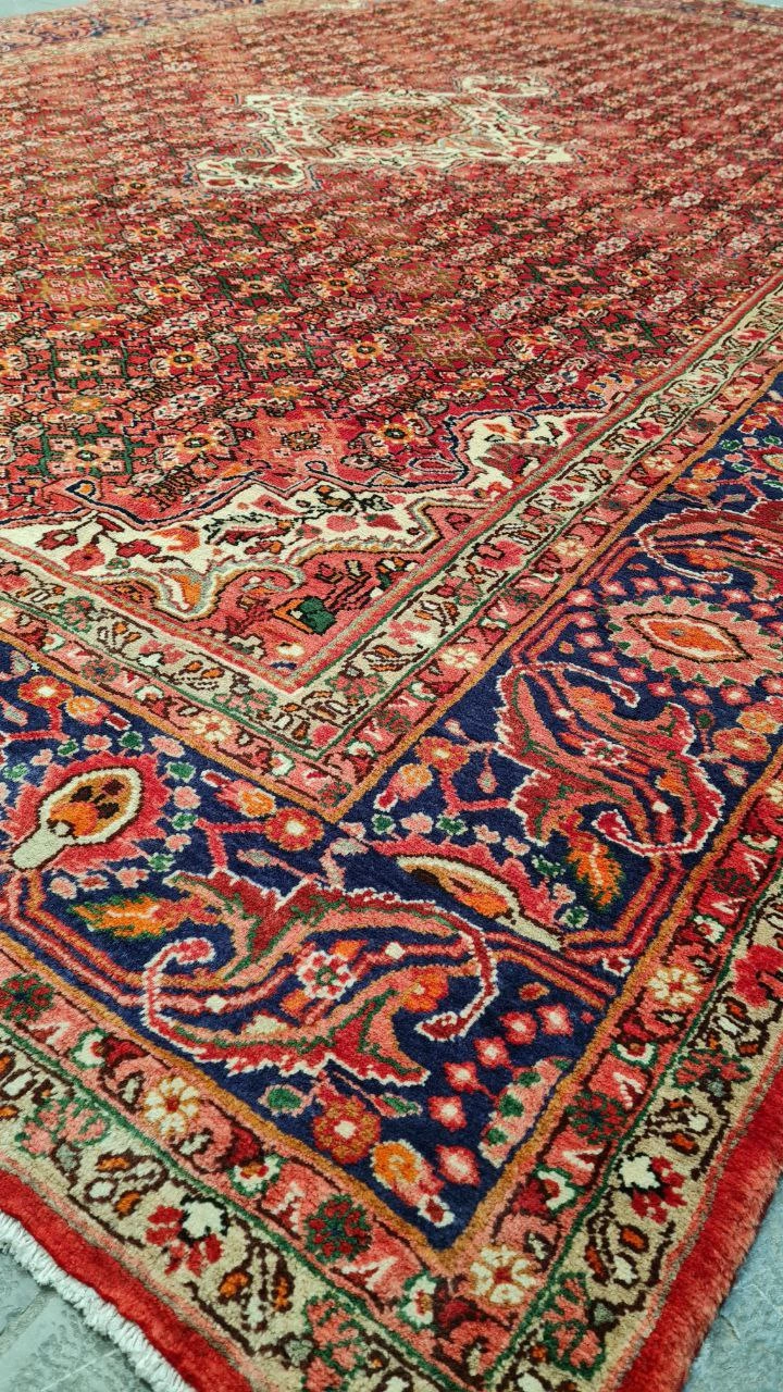 carpet-farshboom-9598564856