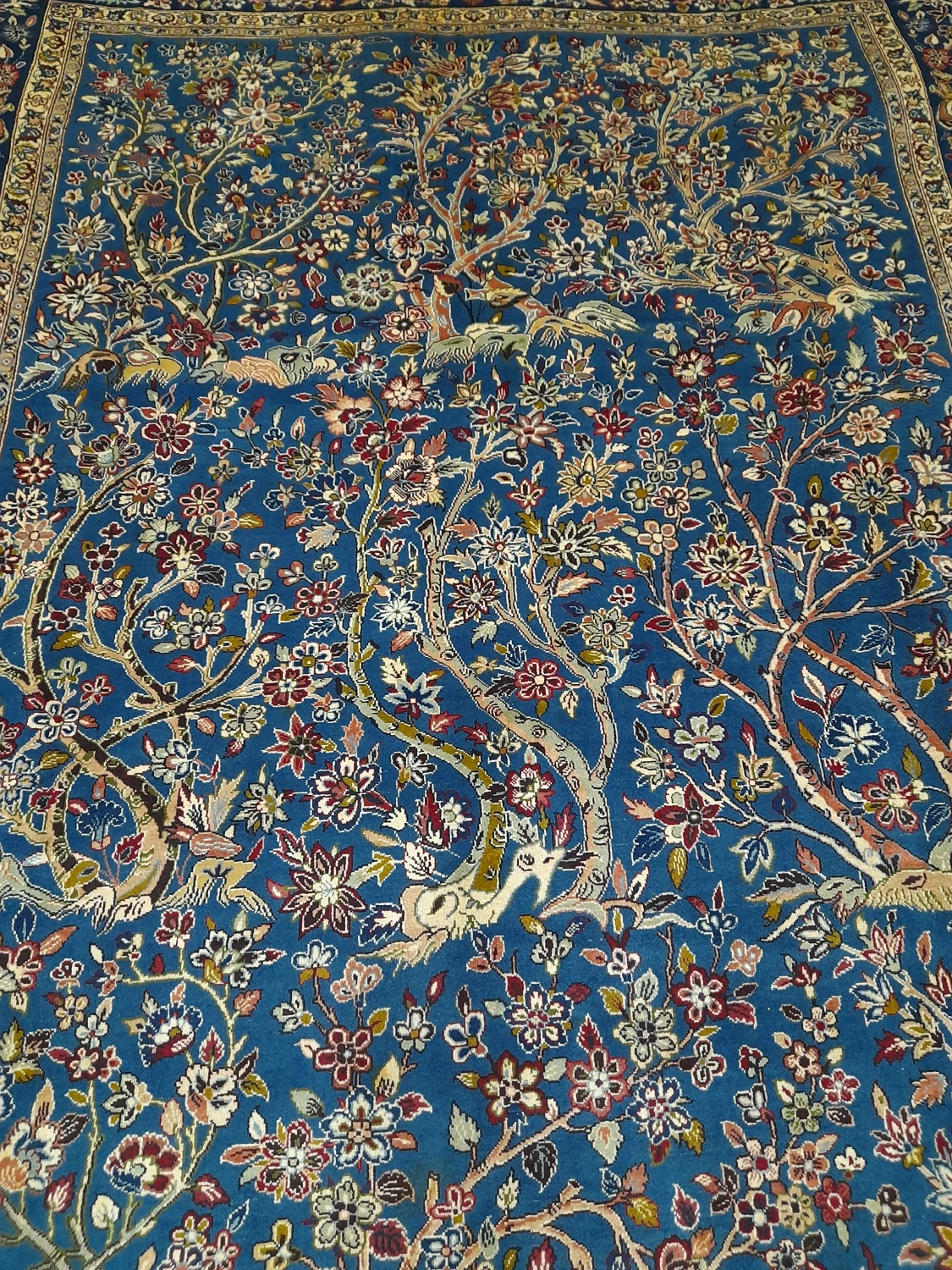 carpet-farshboom-0217920622