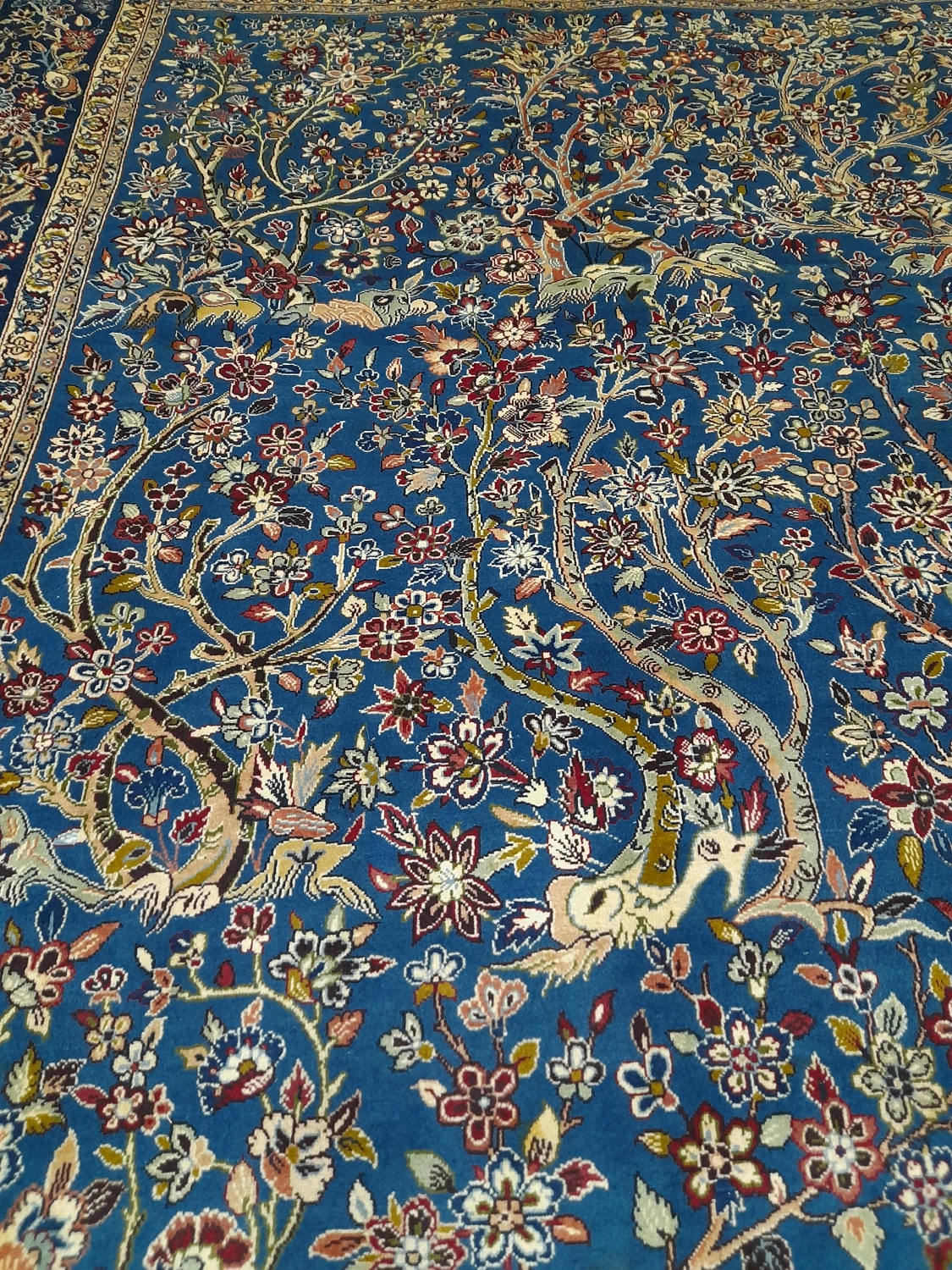 carpet-farshboom-1237139065