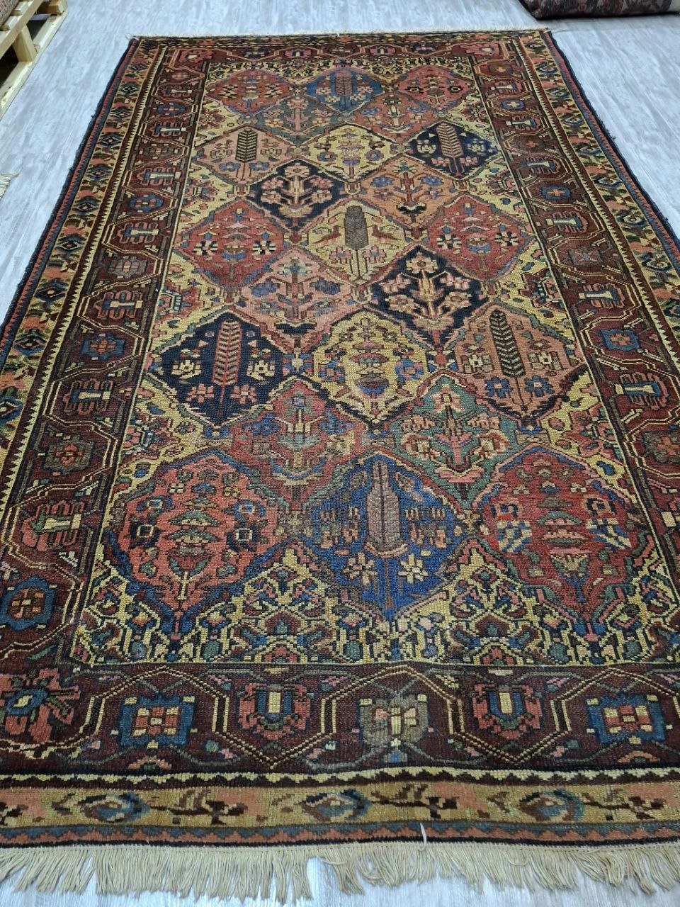 carpet-farshboom-2646104990