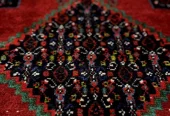 carpet-farshboom-2809848165
