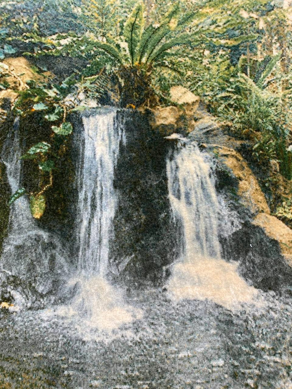 carpet-farshboom-3384309252