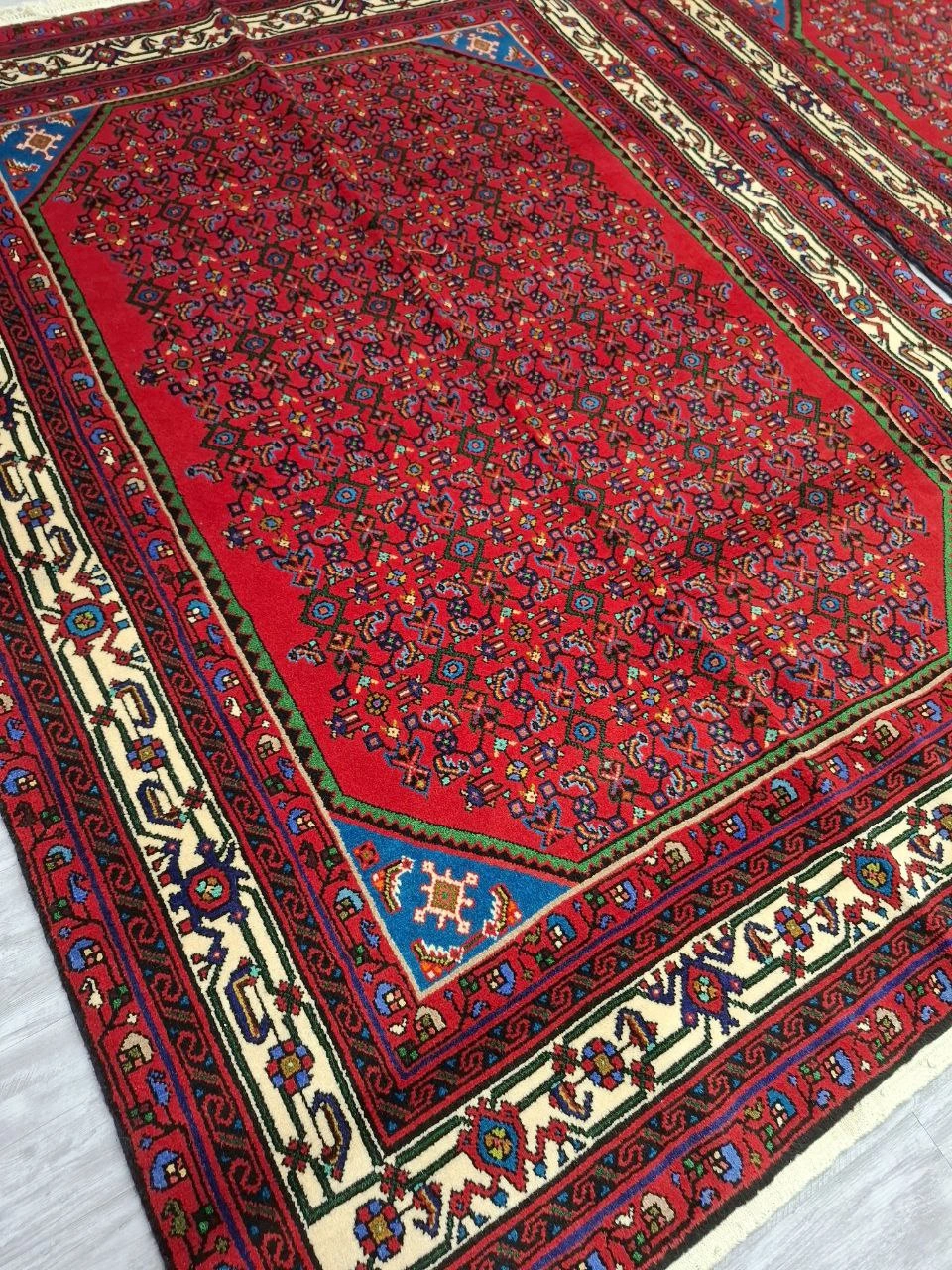 carpet-farshboom-3464418524