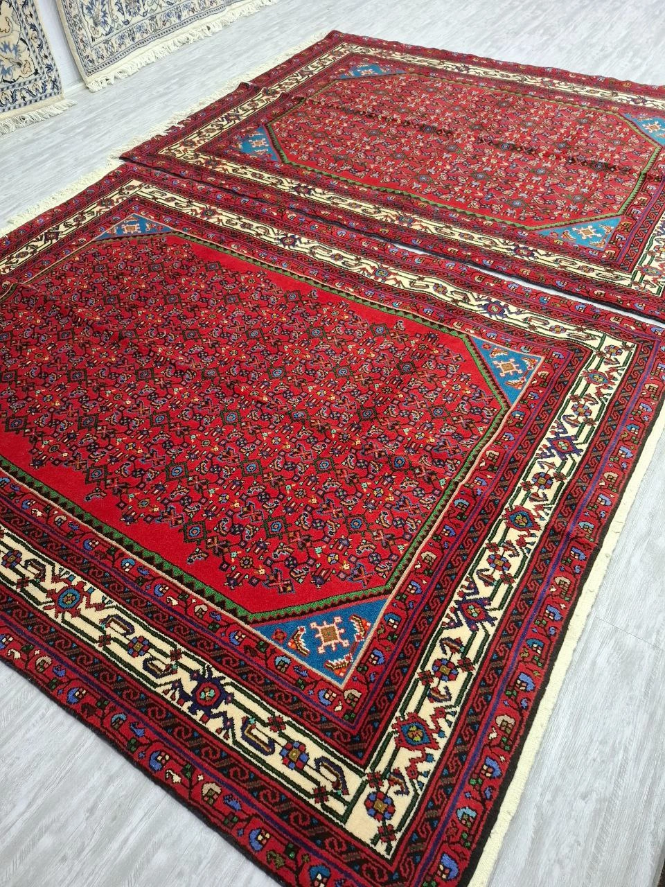 carpet-farshboom-3564700169
