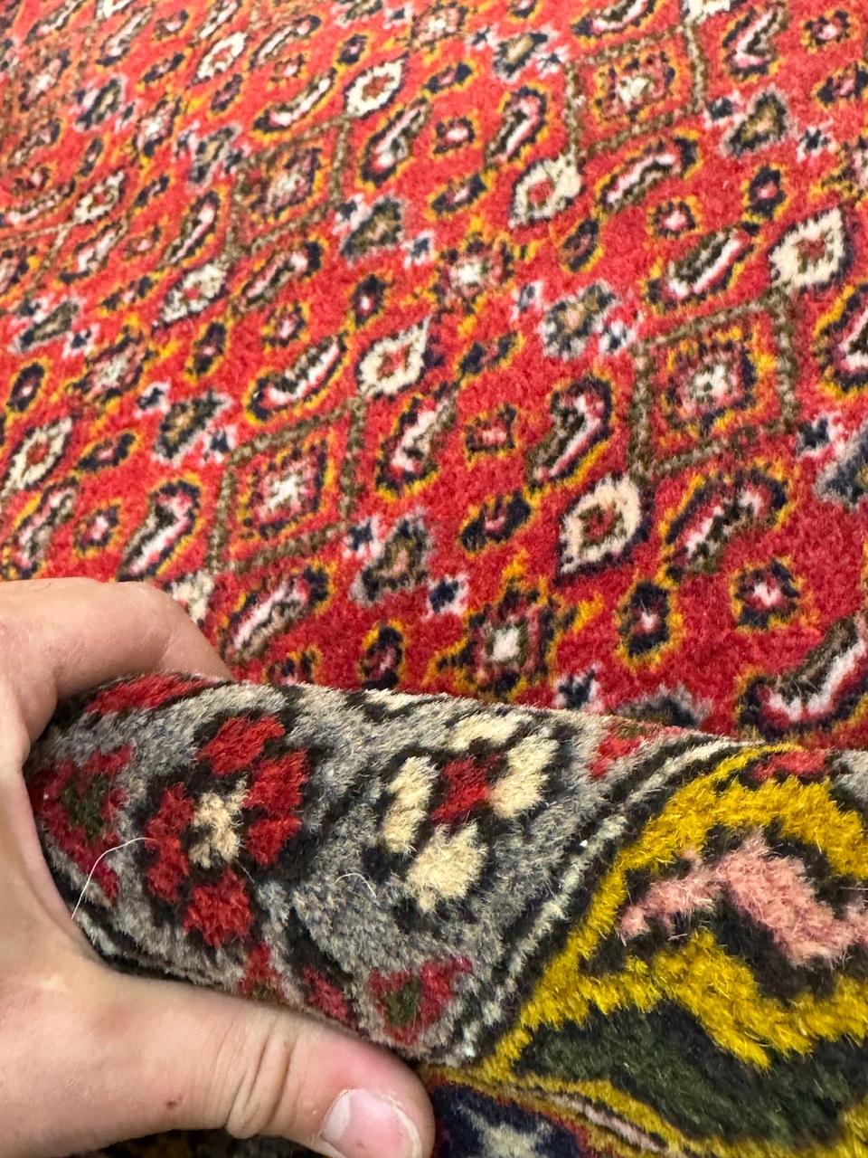 carpet-farshboom-3721319942