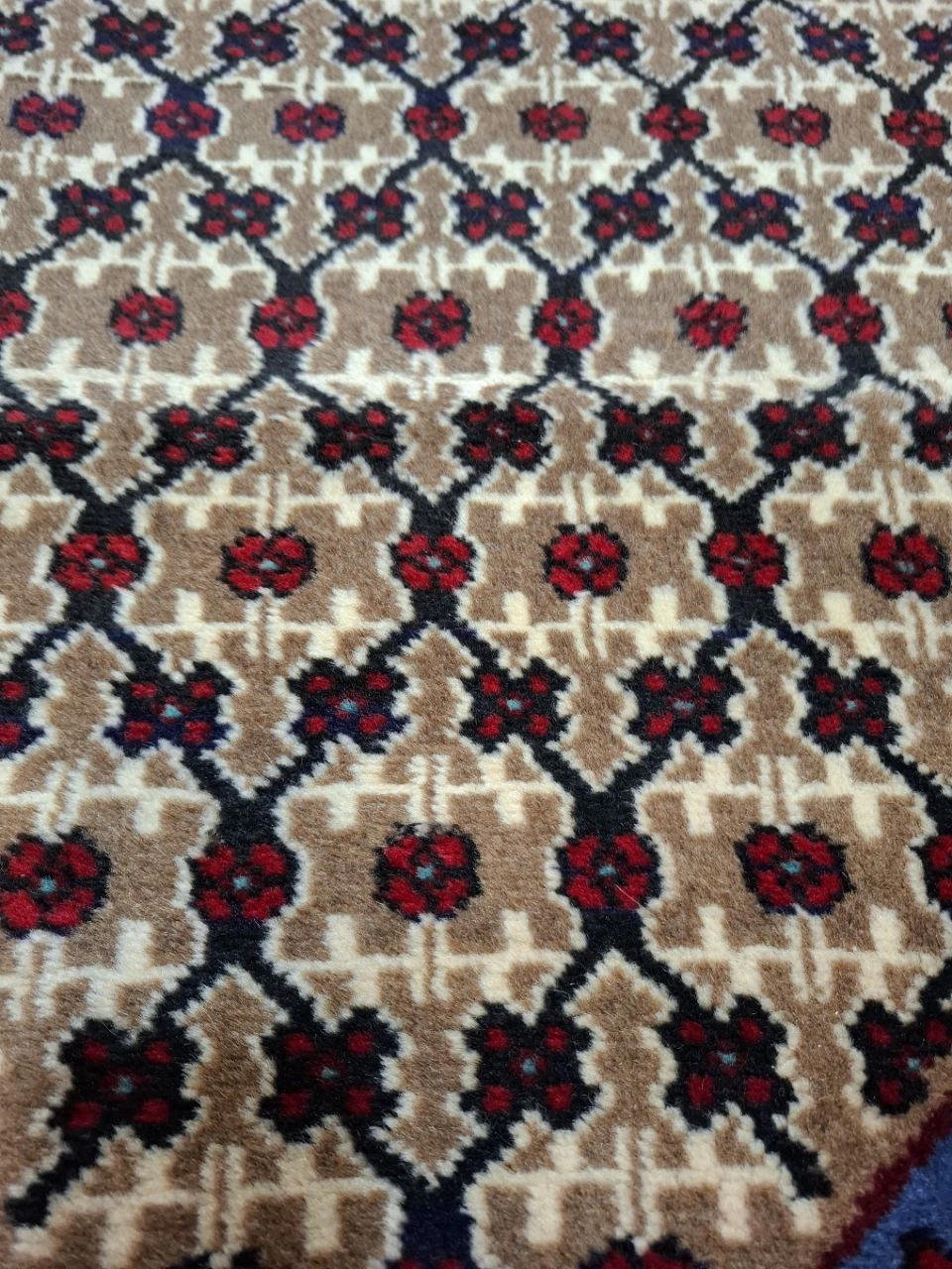 carpet-farshboom-3934521440