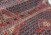 carpet-farshboom-6741181109