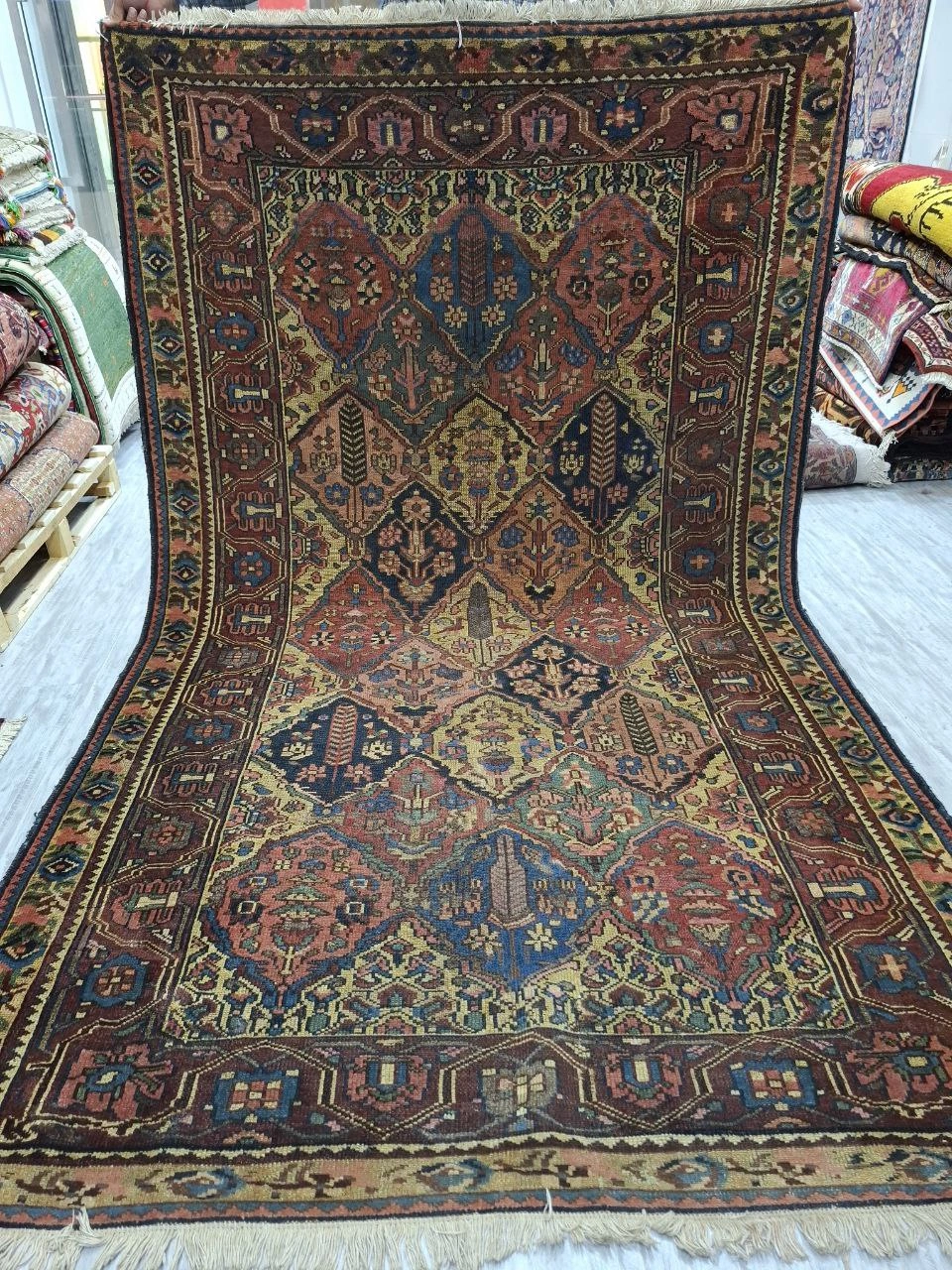 carpet-farshboom-6777886484