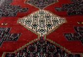 carpet-farshboom-8017021712