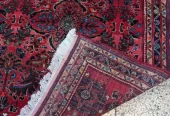 carpet-farshboom-1274908284