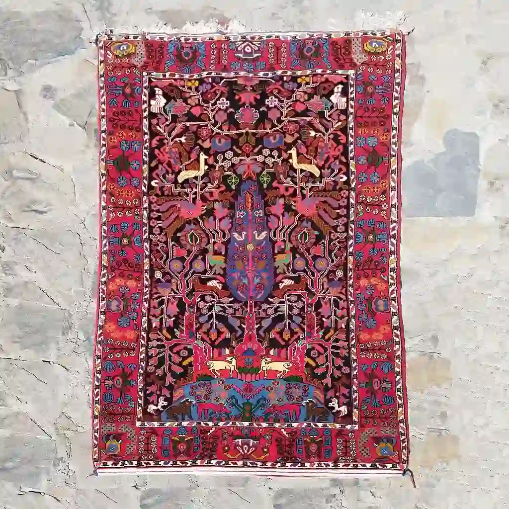 carpet-farshboom-1714865164