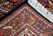 carpet-farshboom-5089234045
