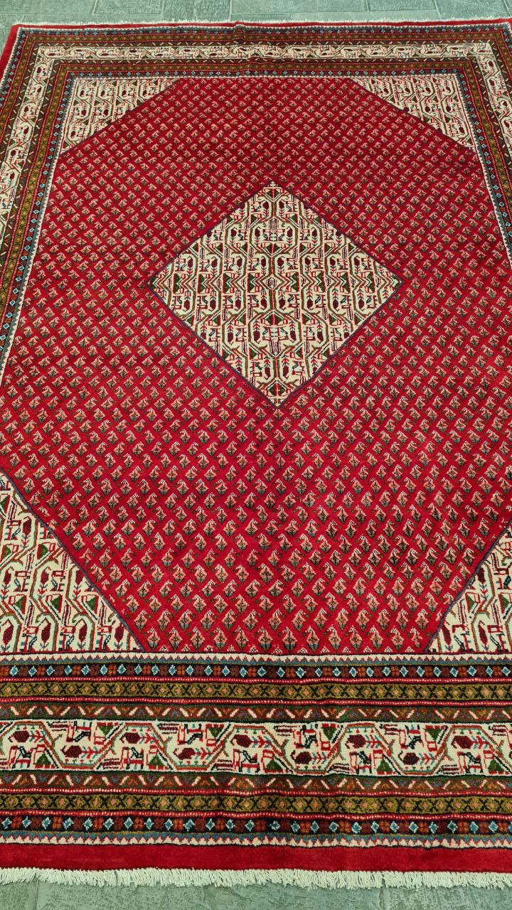 carpet-farshboom-5173755781