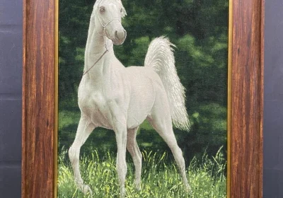 carpet-farshboom-5974589082