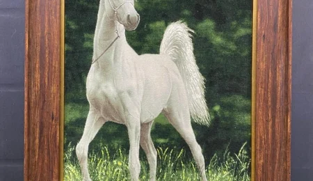 carpet-farshboom-5974589082