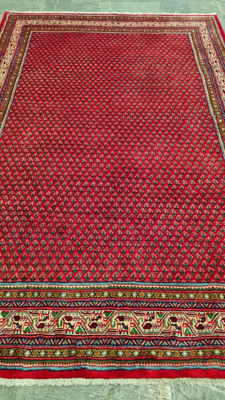 carpet-farshboom-0299539061