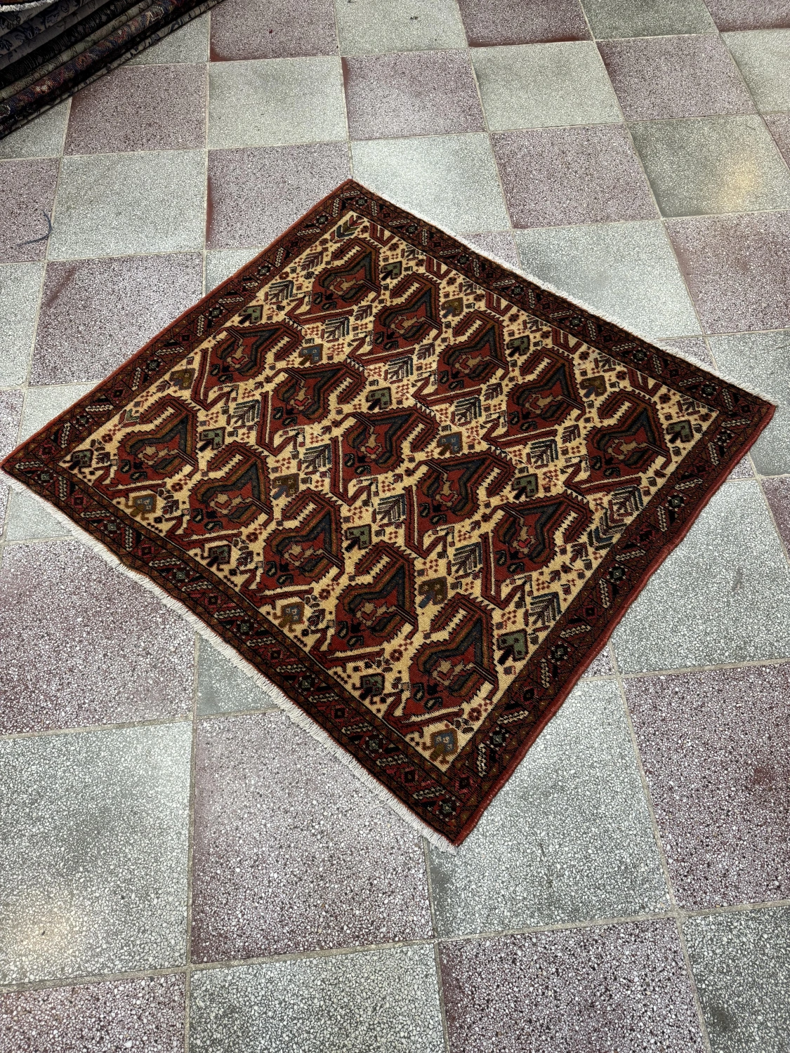 carpet-farshboom-1343886495