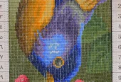 carpet-farshboom-1940978920