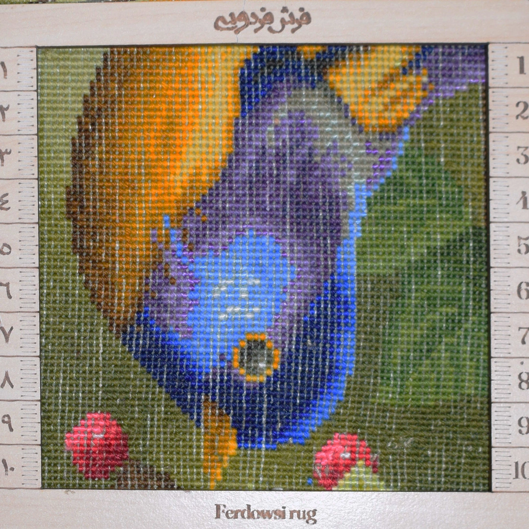 carpet-farshboom-1940978920