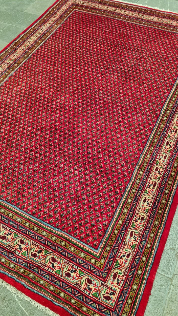 carpet-farshboom-2367104557
