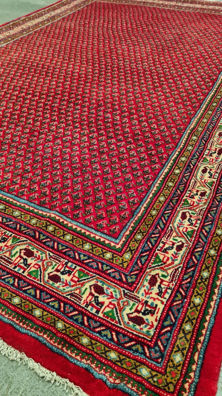 carpet-farshboom-2409951656