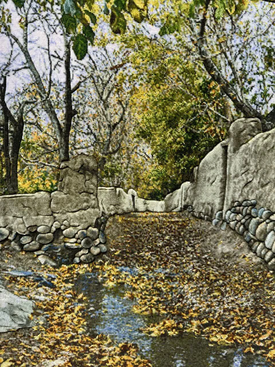 carpet-farshboom-2491857241