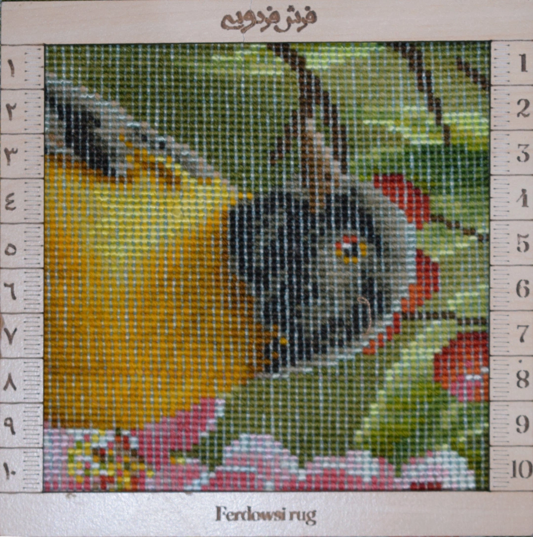 carpet-farshboom-3203646854