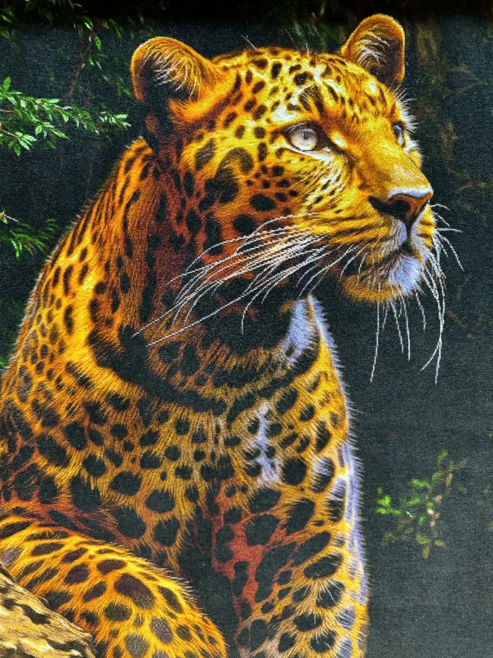 carpet-farshboom-4180746679