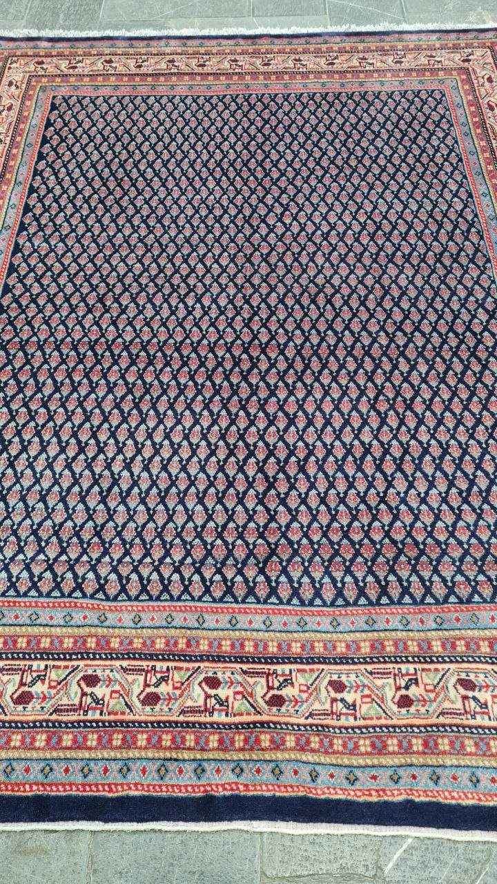 carpet-farshboom-5131309981