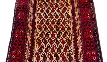 carpet-farshboom-5179895989