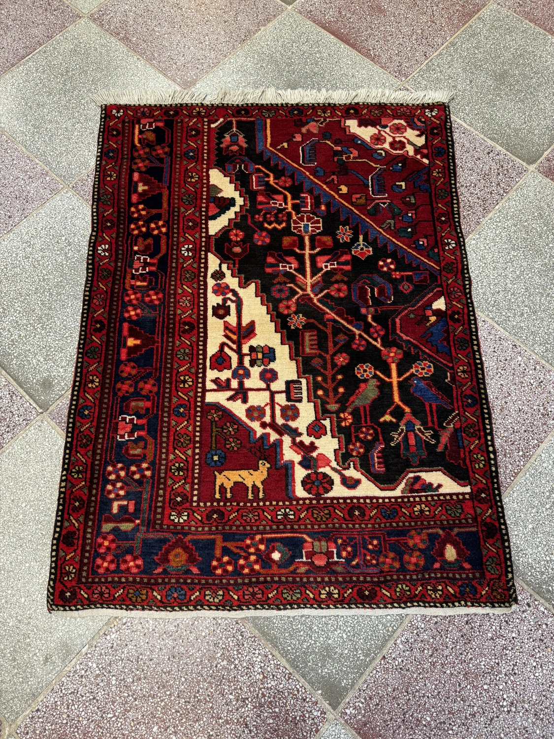carpet-farshboom-5432974500