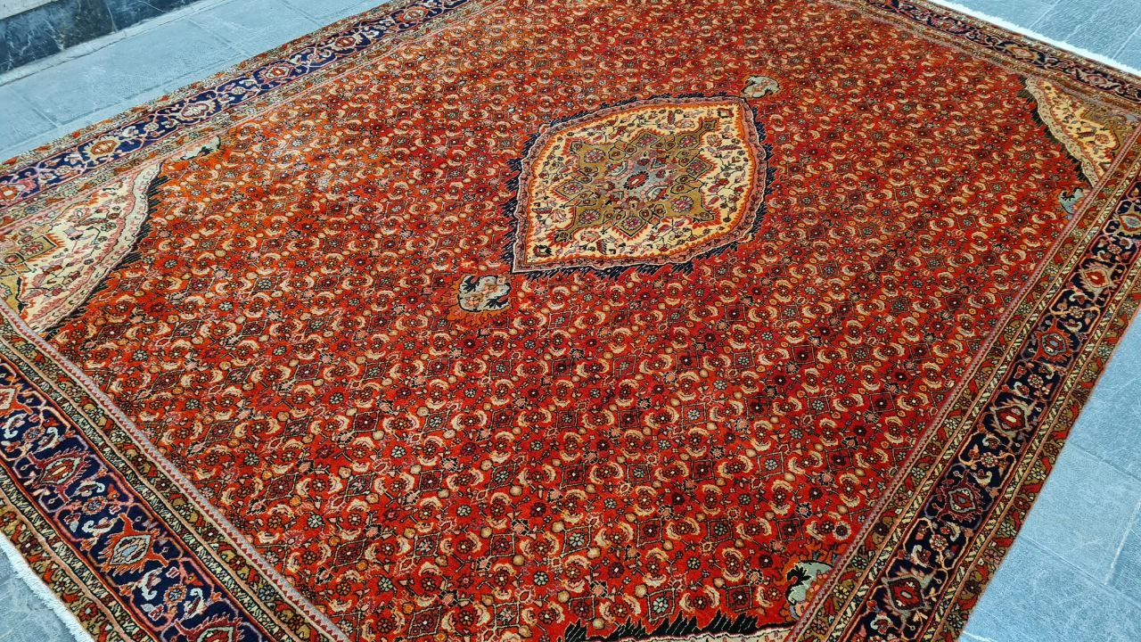 carpet-farshboom-6217946413