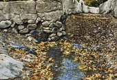 carpet-farshboom-6657202732