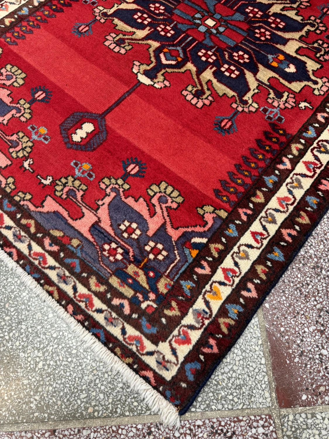 carpet-farshboom-8517457484