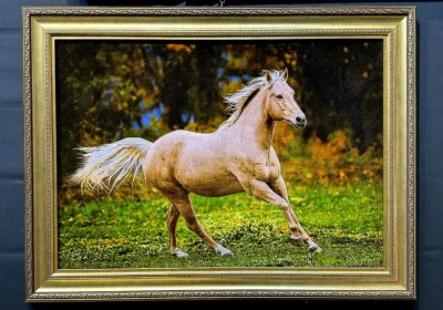 carpet-farshboom-9569879181