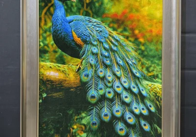 carpet-farshboom-0160929033