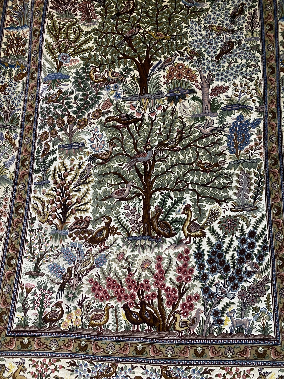 carpet-farshboom-0460596312