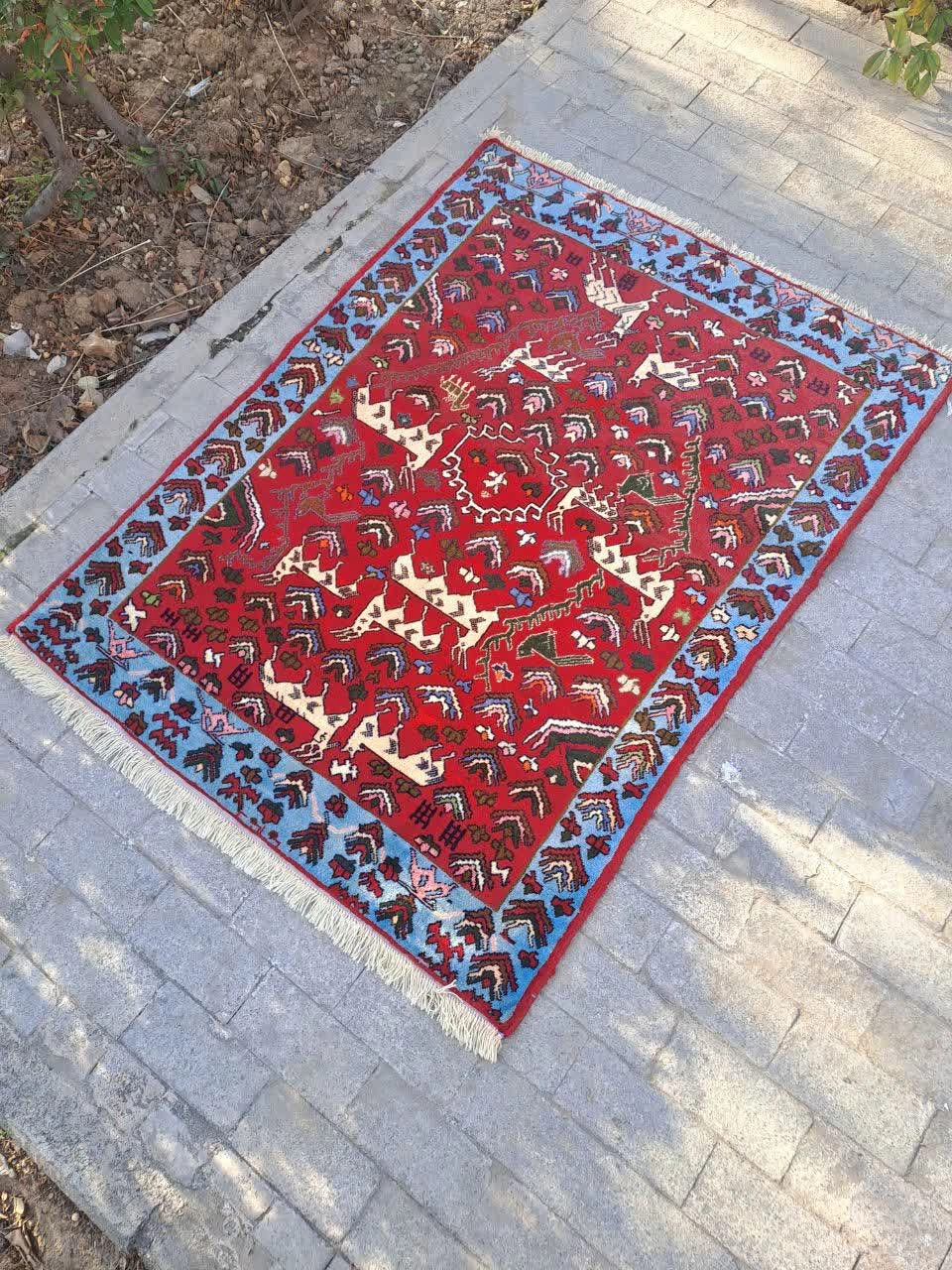 carpet-farshboom-1355023966