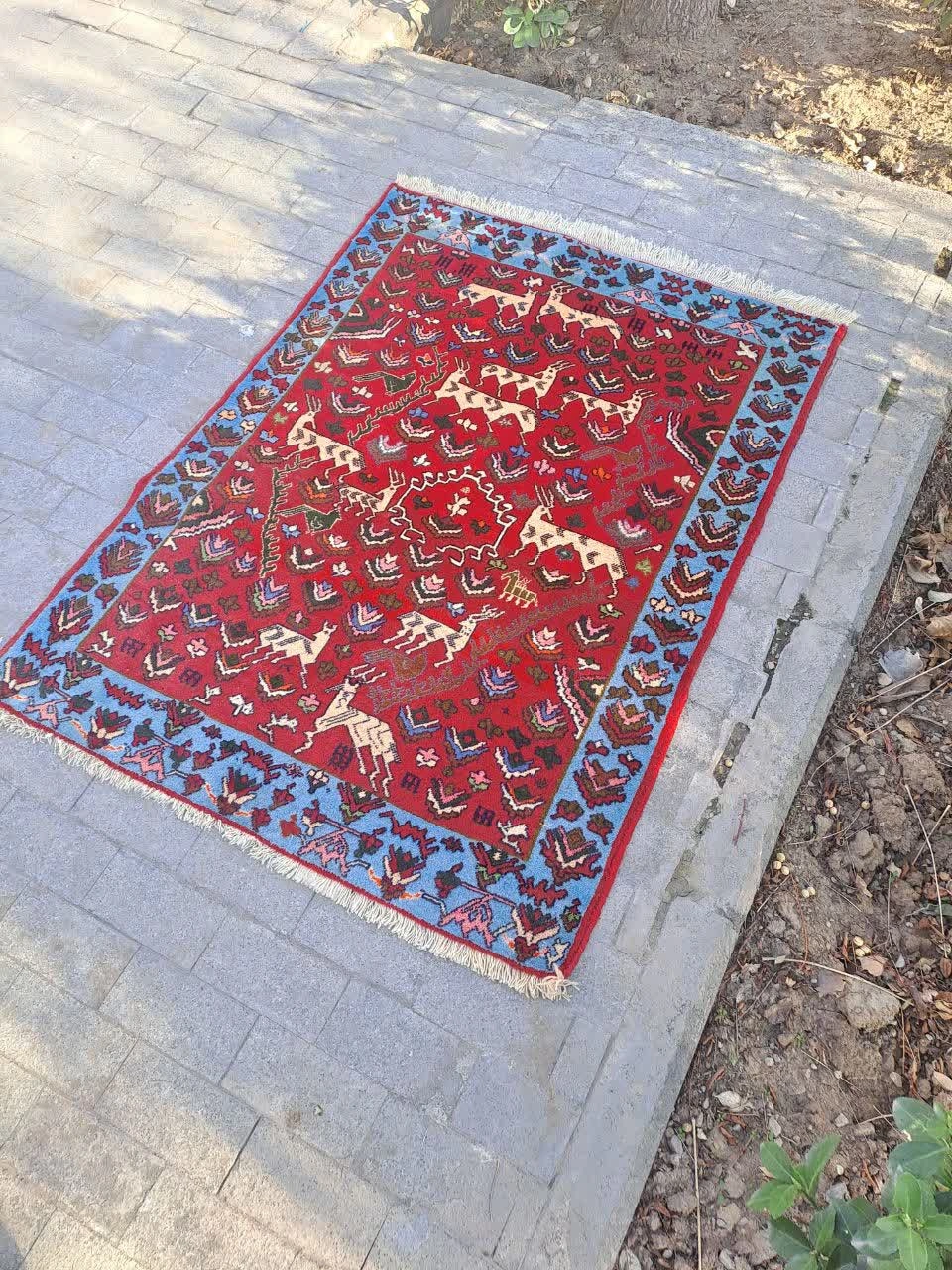 carpet-farshboom-3303958226