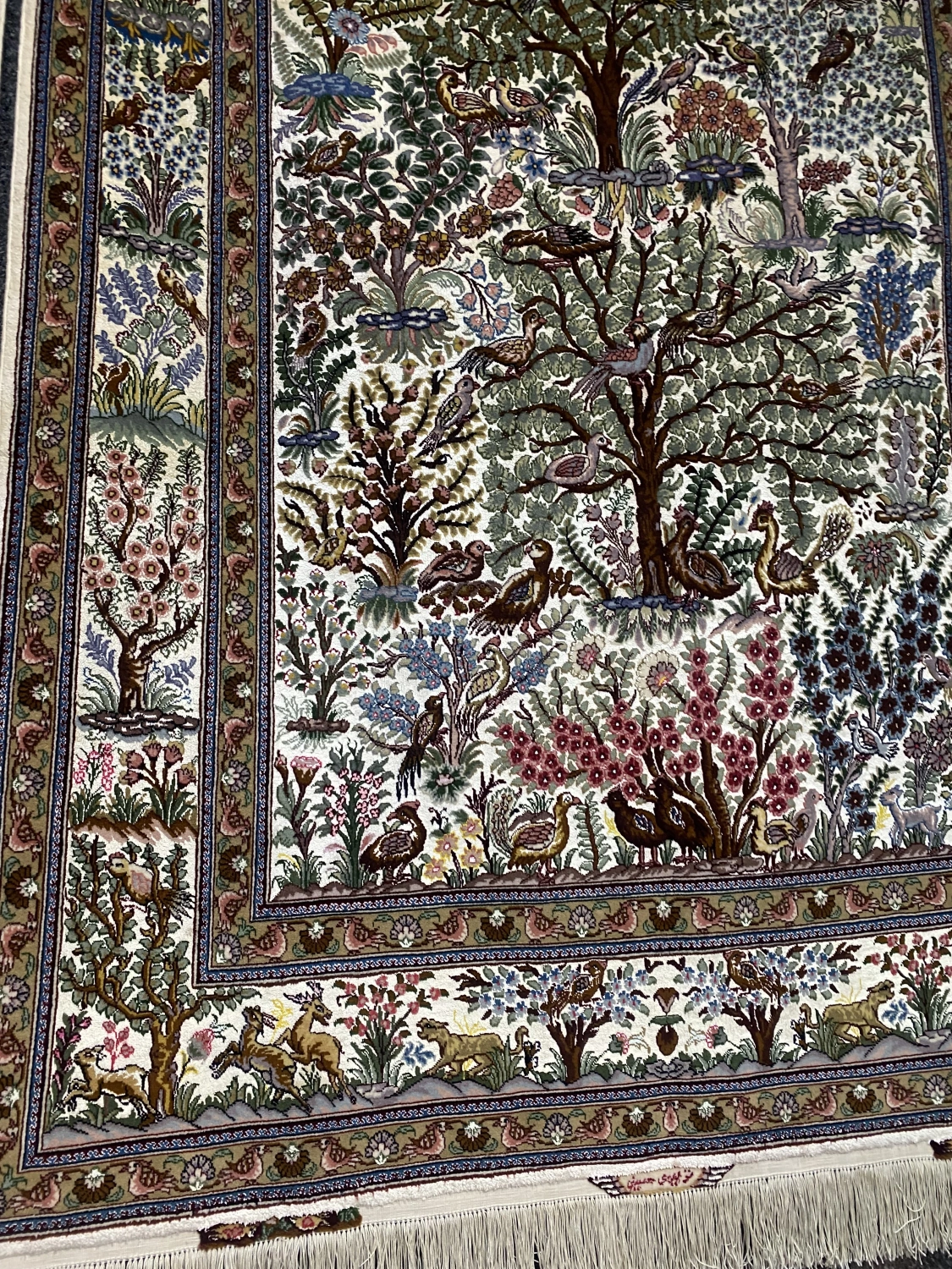 carpet-farshboom-3601579812