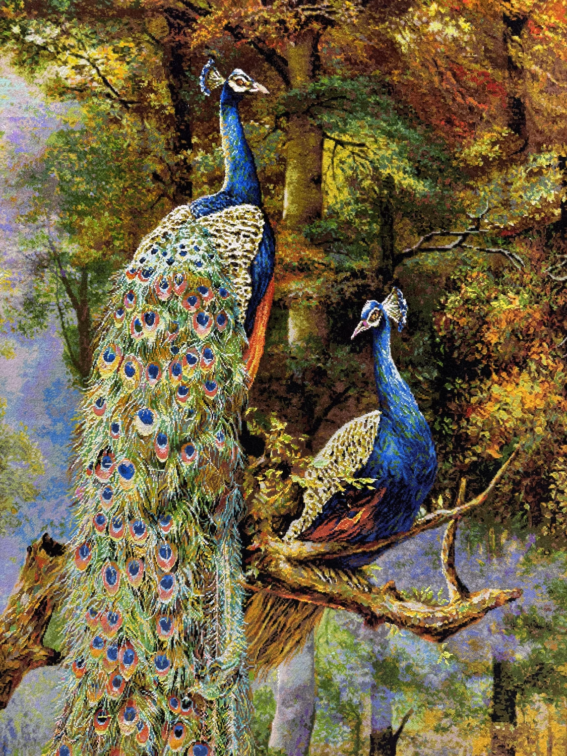 carpet-farshboom-4173210370