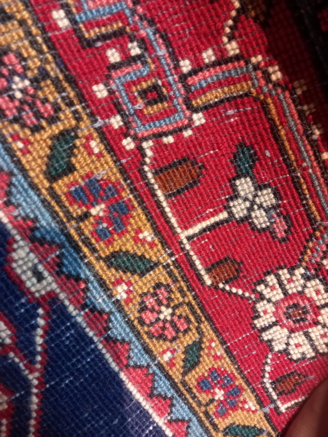 carpet-farshboom-4725576514