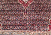carpet-farshboom-4992602884