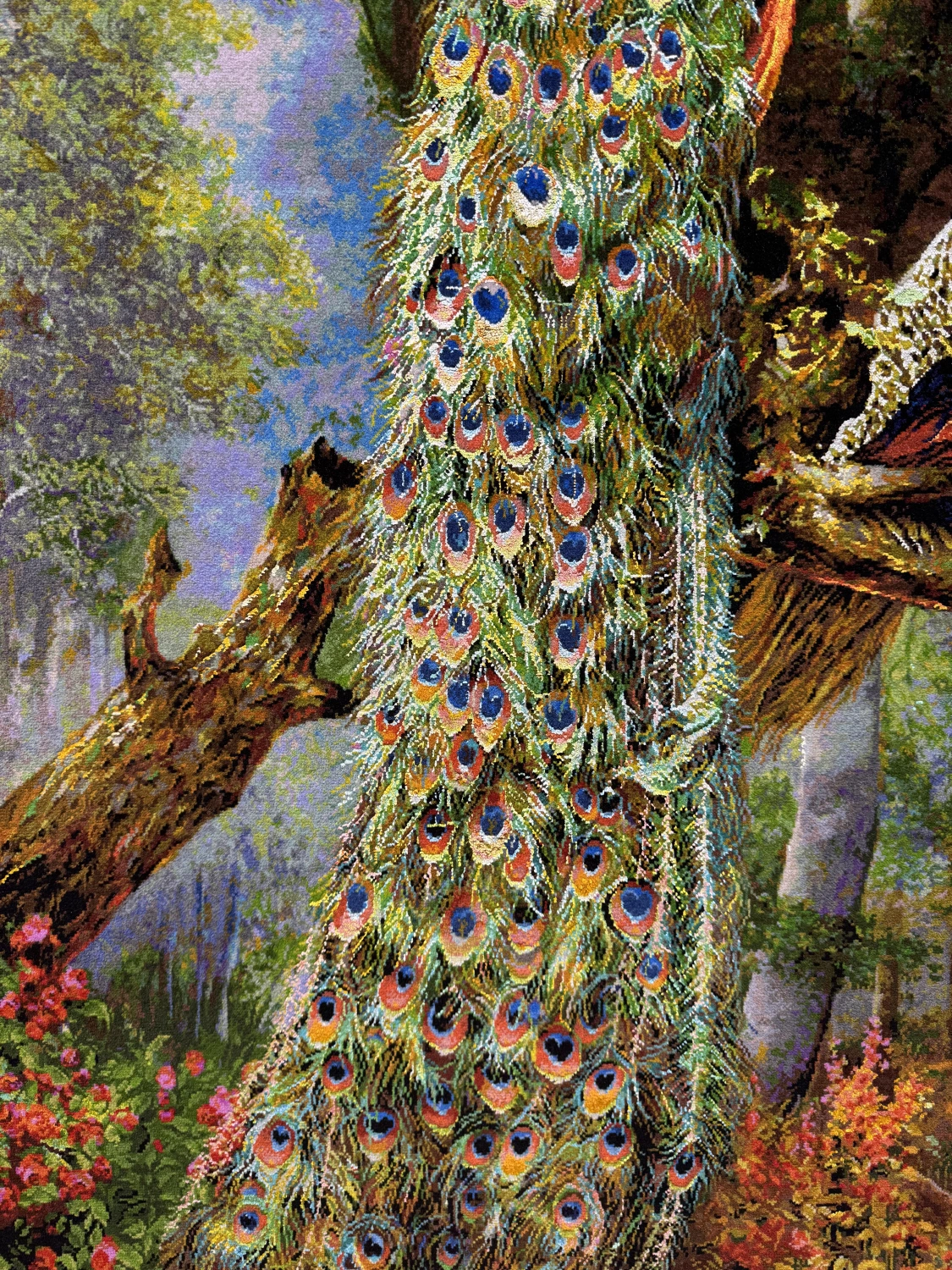 carpet-farshboom-5048290950