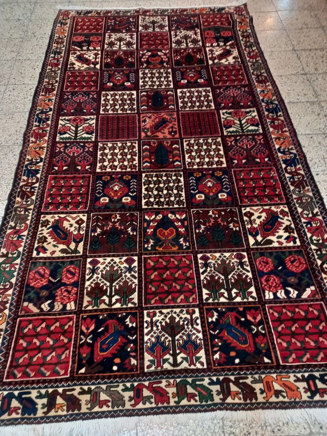 carpet-farshboom-6873366954