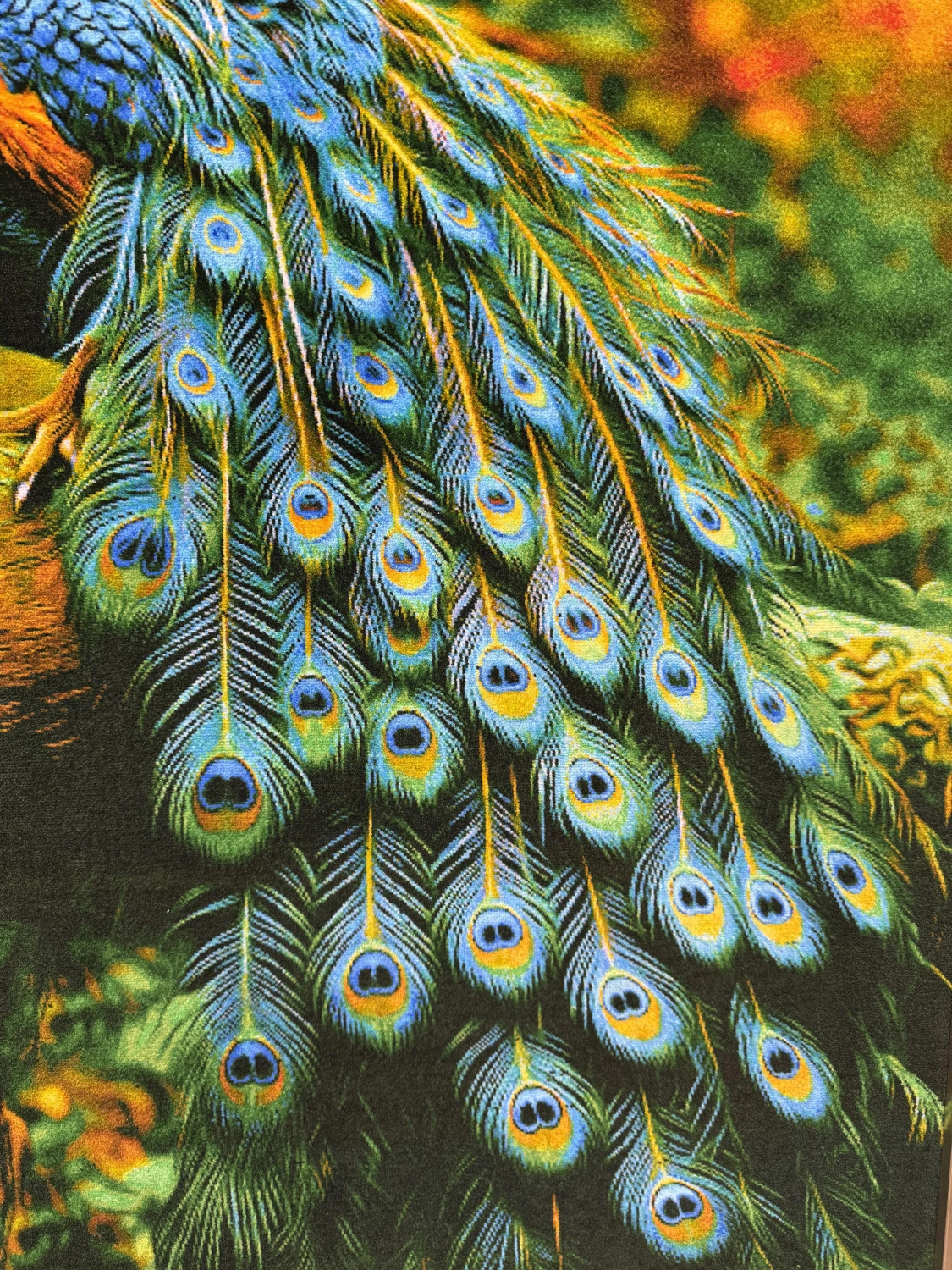 carpet-farshboom-7225462962