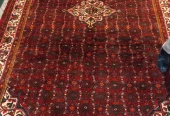 carpet-farshboom-7934847908